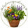 lizlovesgardening - Home